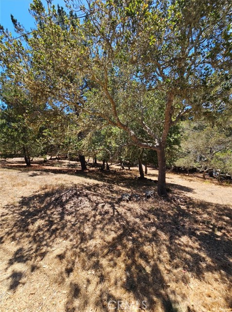 Detail Gallery Image 7 of 8 For 0 Tully Pl, Cambria,  CA 93428 - – Beds | – Baths