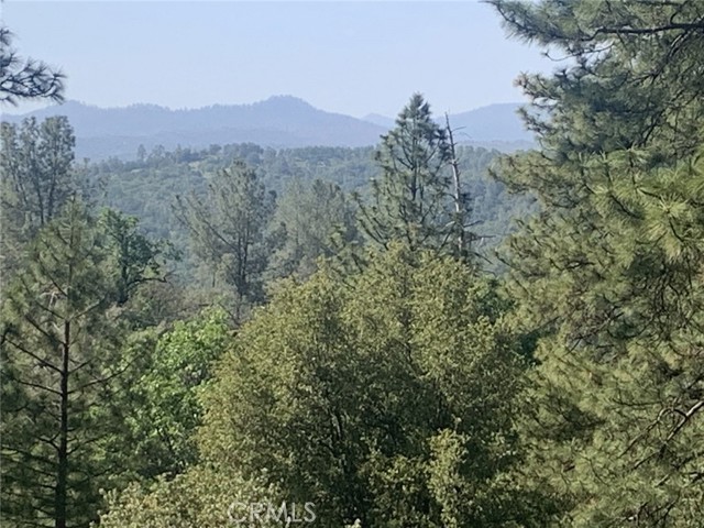 Detail Gallery Image 5 of 9 For 0 4.98 Ac Timberwood Ln, Oakhurst,  CA 93644 - – Beds | – Baths
