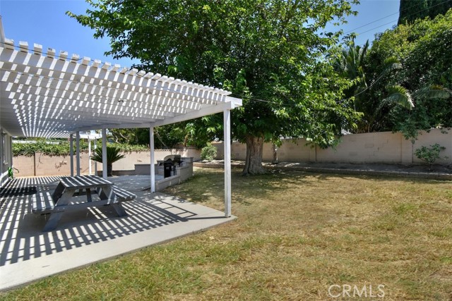Back yard in the summer