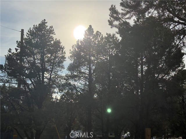 Detail Gallery Image 11 of 31 For 1820 Golden Rod, Big Bear City,  CA 92314 - – Beds | – Baths