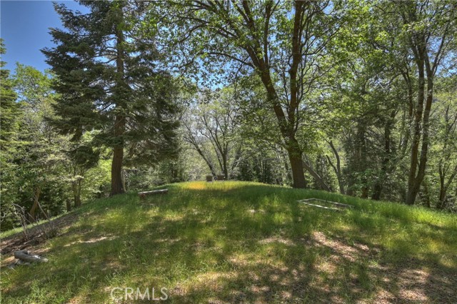 29223 Pigeon Hawk Lane, Lake Arrowhead CA: https://media.crmls.org/medias/086ff45c-61b7-41e7-9db8-56378f9a67bf.jpg