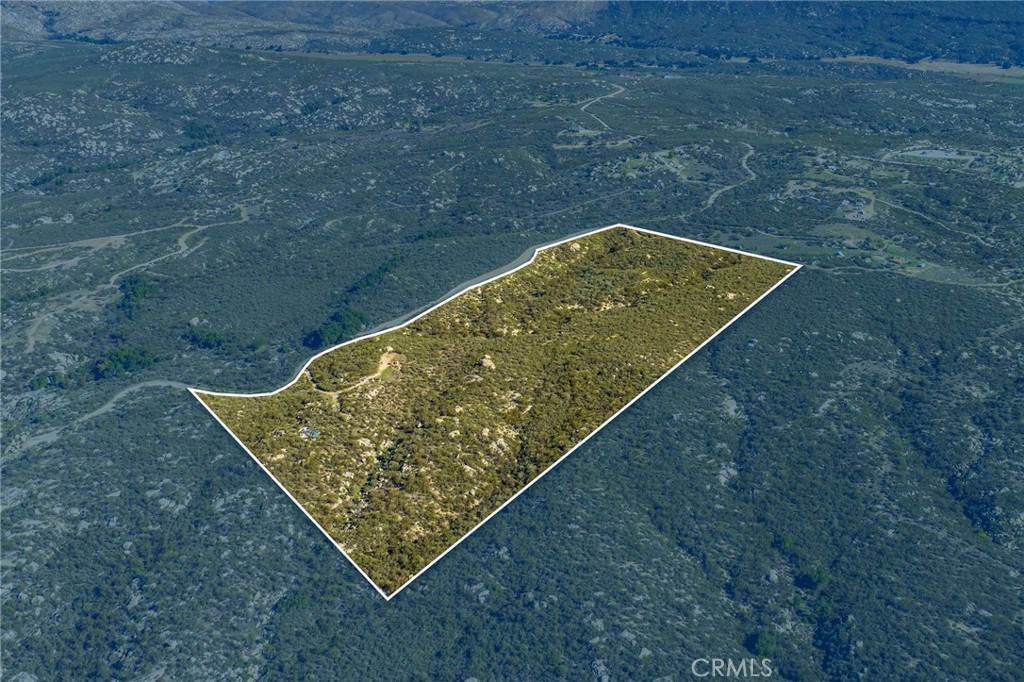 MLS #SW25270253 image #4