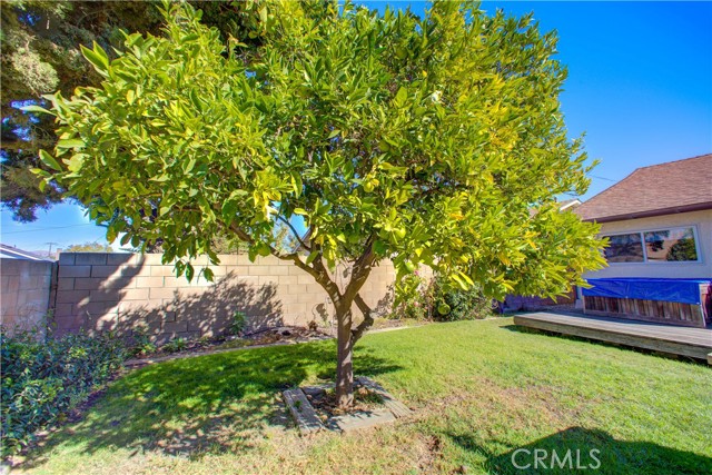 Detail Gallery Image 39 of 44 For 825 N Bradley Rd, Santa Maria,  CA 93454 - 4 Beds | 2 Baths