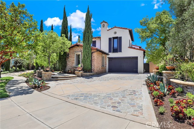 Front Image Thumbnail for CROC25272885