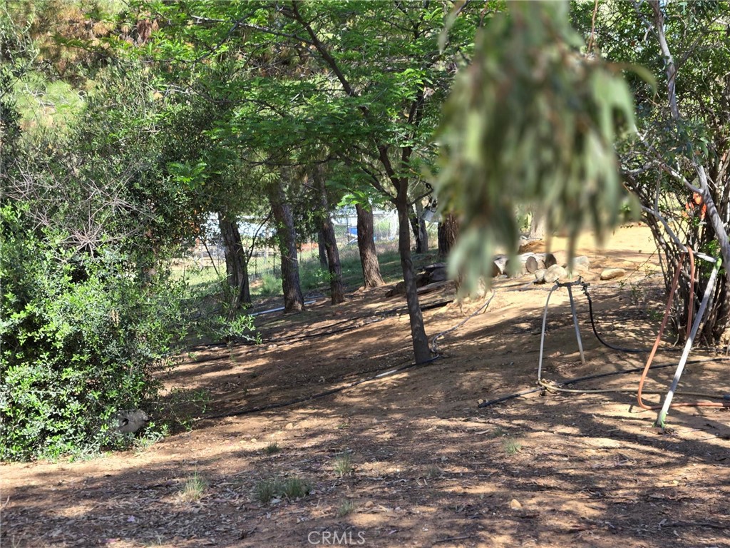 MLS #IV25104418 image #1