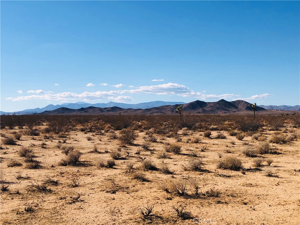 MLS #JT25073655 image #1