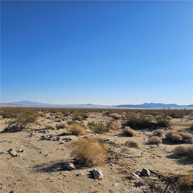 Detail Gallery Image 5 of 6 For 1234 Walker Rd, Johnson Valley,  CA 92285 - – Beds | – Baths