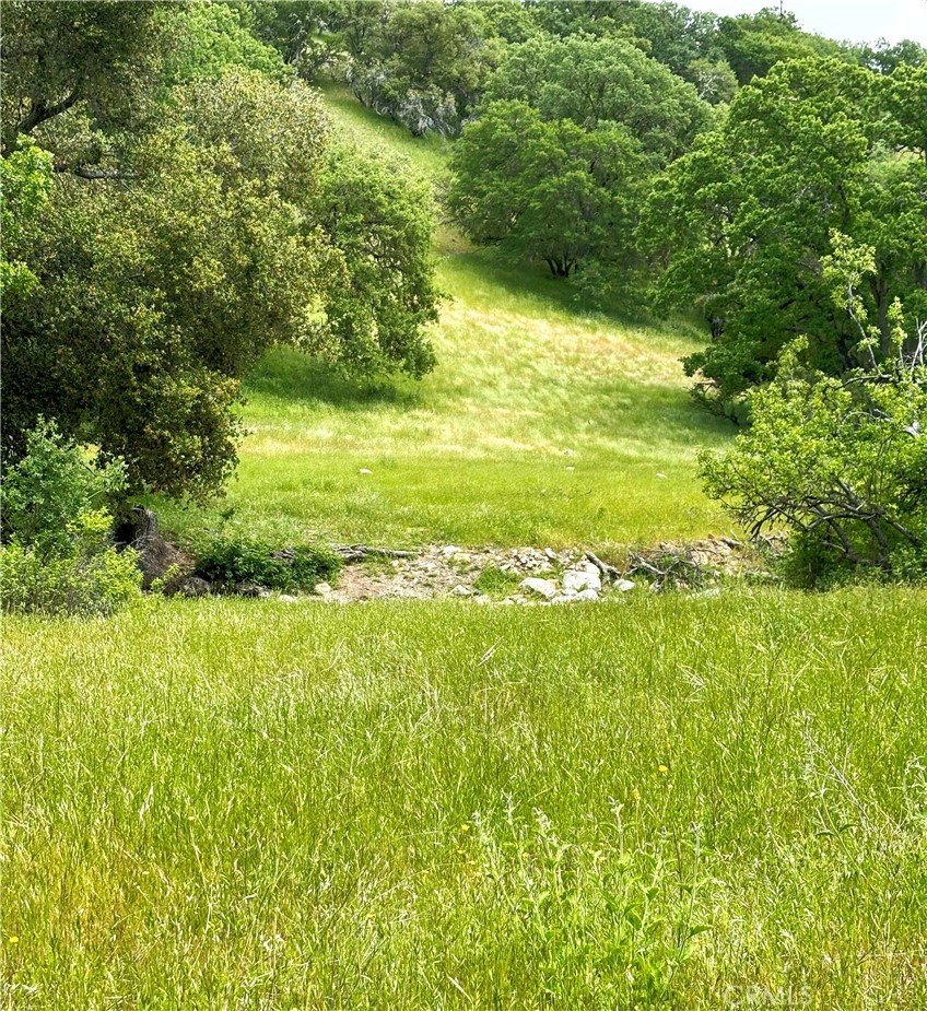 41500 Carmel Valley Road