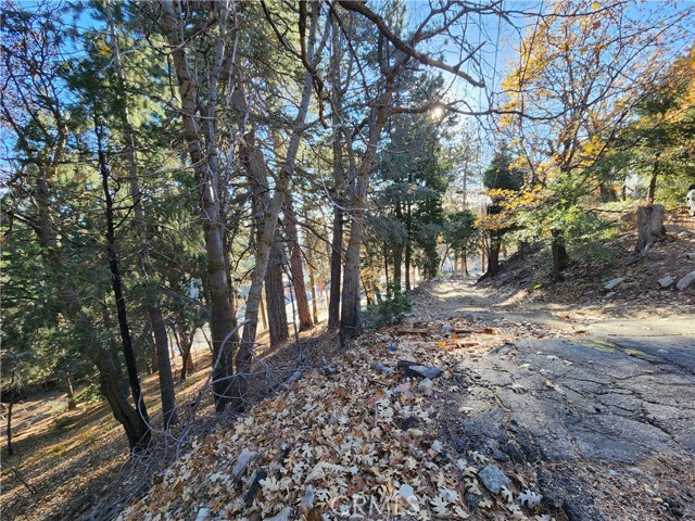 0 Lovers Lane, Rimforest CA: https://media.crmls.org/medias/08910be4-e623-4210-90d4-801d93cd0993.jpg