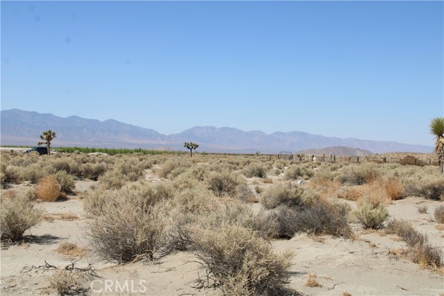 Detail Gallery Image 6 of 14 For 4 Ac Markham Ave, El Mirage,  CA 92301 - – Beds | – Baths