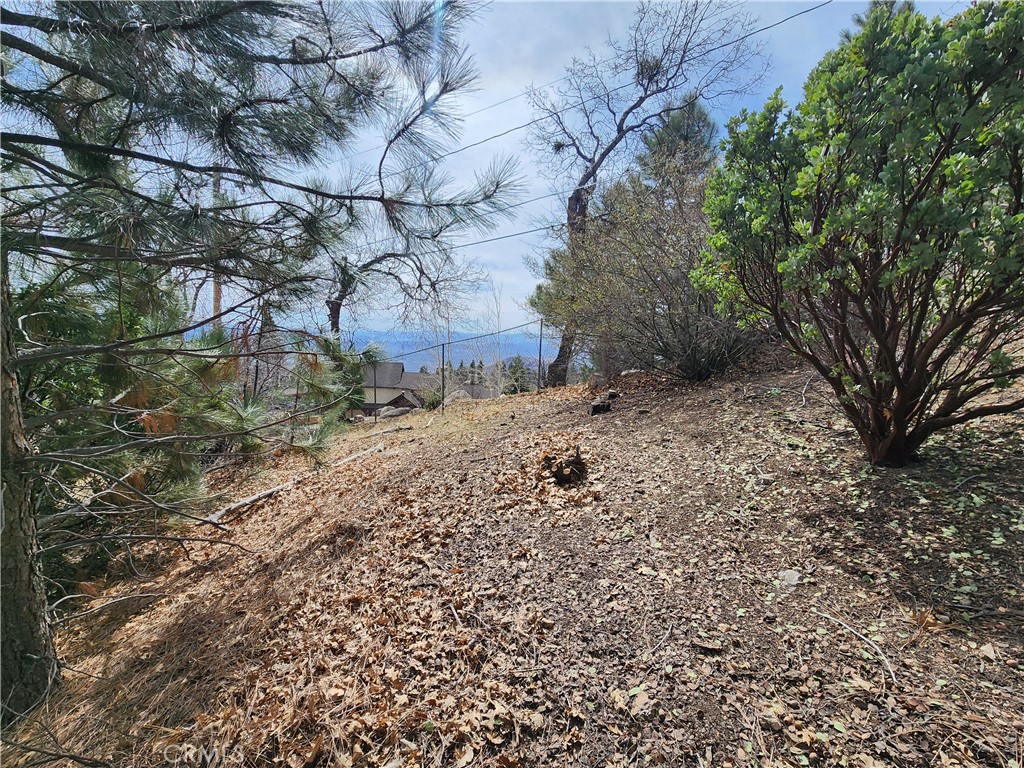 MLS #IG25045374 image #14