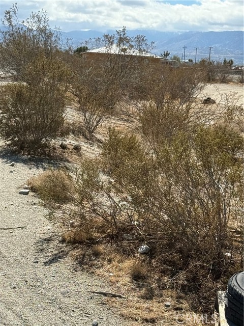 Detail Gallery Image 2 of 5 For 0 Beekley Rd, Pinon Hills,  CA 92372 - – Beds | – Baths