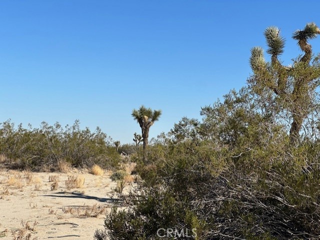 Detail Gallery Image 6 of 14 For 0 E Palmdale Bld, Palmdale,  CA 93552 - – Beds | – Baths