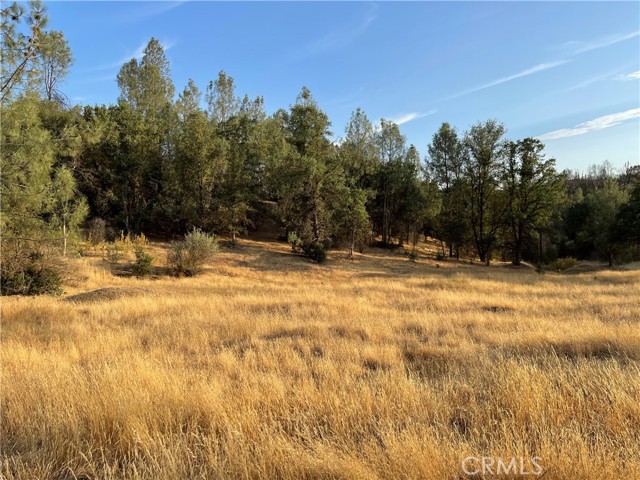 4331 State Highway 140, Mariposa, CA, 95338 4331 State Highway 140, Mariposa, CA, 95338
