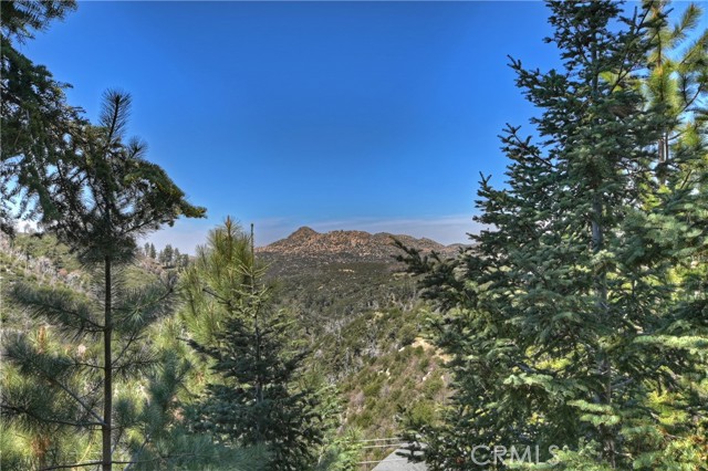 1119 Brentwood Drive, Lake Arrowhead CA: https://media.crmls.org/medias/08aa61e6-b77f-4fe1-8878-b9224f4db9ea.jpg