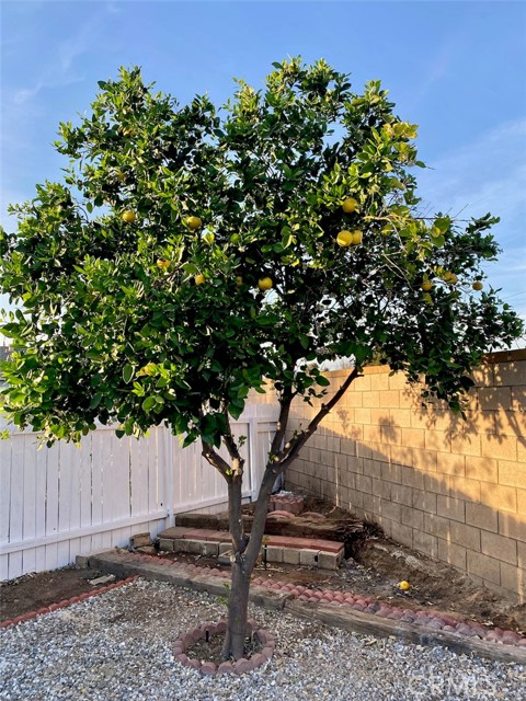 Detail Gallery Image 75 of 75 For 4095 Penrod Dr, Riverside,  CA 92505 - 3 Beds | 2 Baths