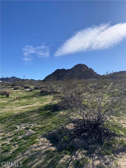 Detail Gallery Image 37 of 57 For 7117 Bonita, Joshua Tree,  CA 92252 - 3 Beds | 2 Baths