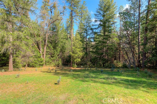 Detail Gallery Image 34 of 52 For 712 Bloomer Hill, Berry Creek,  CA 95916 - 2 Beds | 1/1 Baths