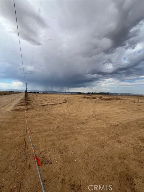 Front Image Thumbnail for CRDW26202406