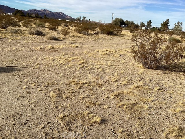 Detail Gallery Image 6 of 14 For 42979 Mandrill St, Newberry Springs,  CA 92365 - – Beds | – Baths