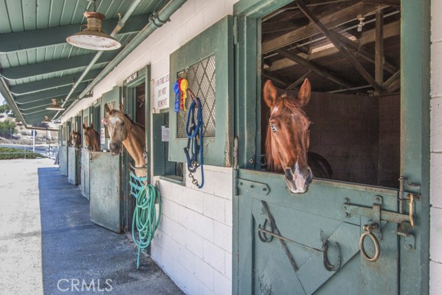 Detail Gallery Image 59 of 59 For 2244 via Puerta,Unit P, Laguna Woods,  CA 92637 - 2 Beds | 2 Baths