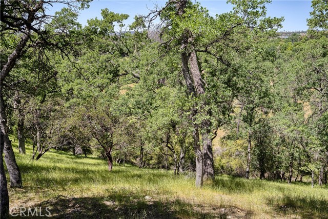 Detail Gallery Image 7 of 8 For 20947 Powder Horn Rd, Hidden Valley Lake,  CA 95467 - – Beds | – Baths