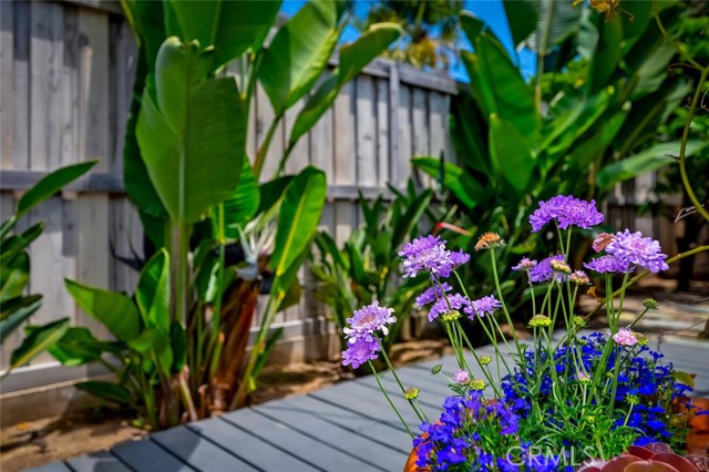Detail Gallery Image 22 of 24 For 31521 Summit Rd, Laguna Beach,  CA 92651 - 2 Beds | 2 Baths