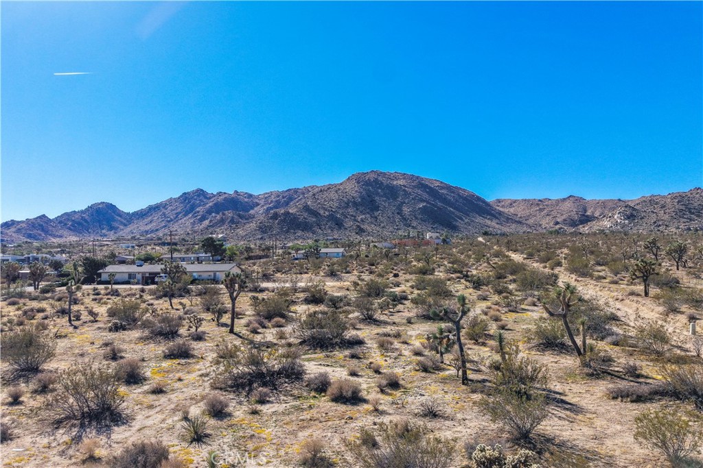 MLS #JT25246820 image #9