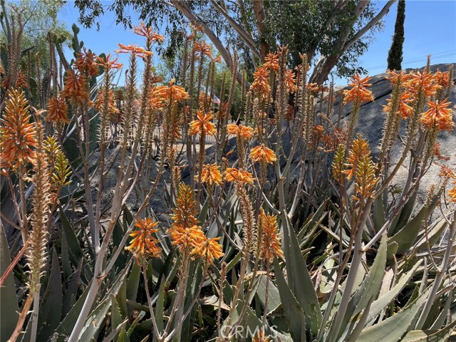 22910 Olivas Avenue, Nuevo CA: https://media.crmls.org/medias/08ba2442-900b-4b35-a7f8-4354feafe28e.jpg