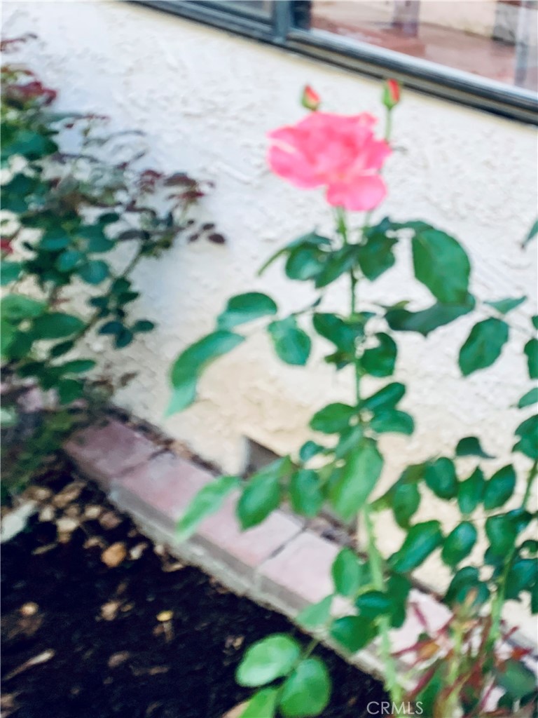 https://media.crmls.org/medias/08c37bdd-d4ef-49bf-9a6b-4028ca5f6537.jpg?preset=X-Large