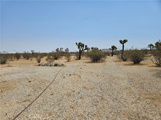 Detail Gallery Image 18 of 18 For 12221 Oasis Rd, Pinon Hills,  CA 92372 - 3 Beds | 2 Baths