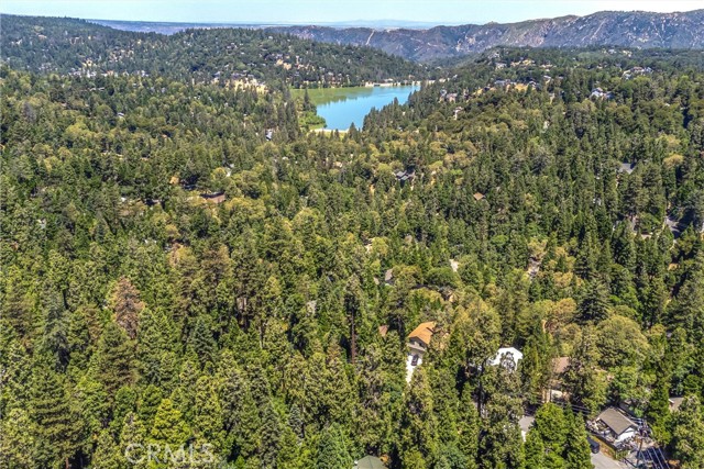 Detail Gallery Image 51 of 62 For 24882 Felsen Dr, Crestline,  CA 92325 - 4 Beds | 2/1 Baths