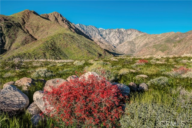 Front Image Thumbnail for CRIG26063374