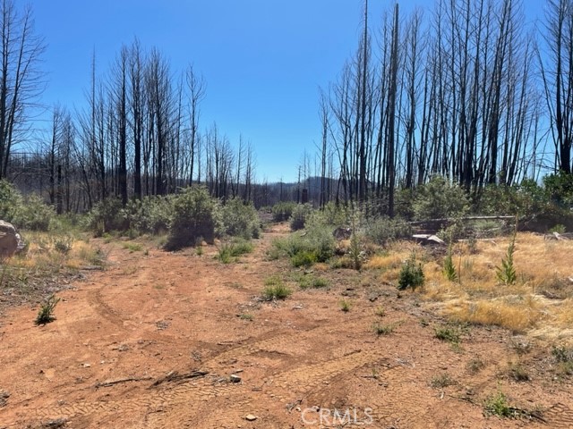 0 Milsap Bar Road, Berry Creek, CA 95916