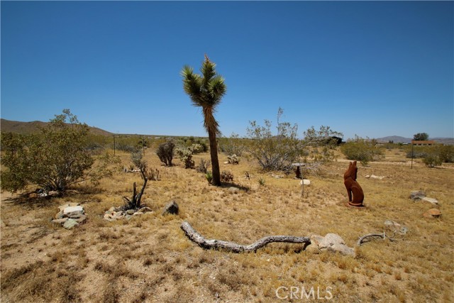 Detail Gallery Image 43 of 48 For 2029 Wamego, Landers,  CA 92285 - 1 Beds | 1 Baths