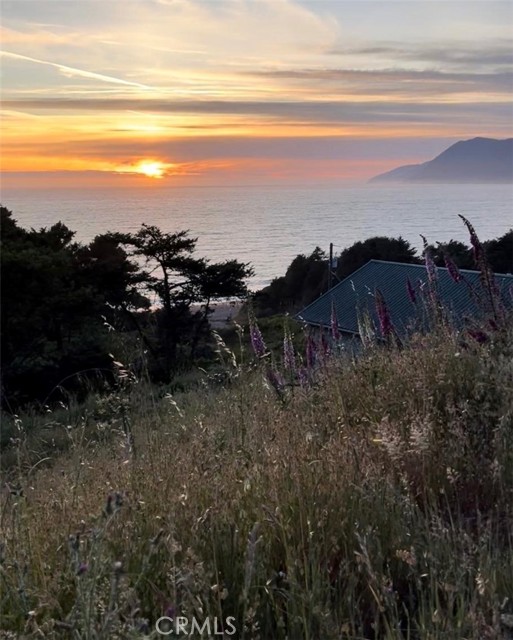 Front Image Thumbnail for CRSR26074294