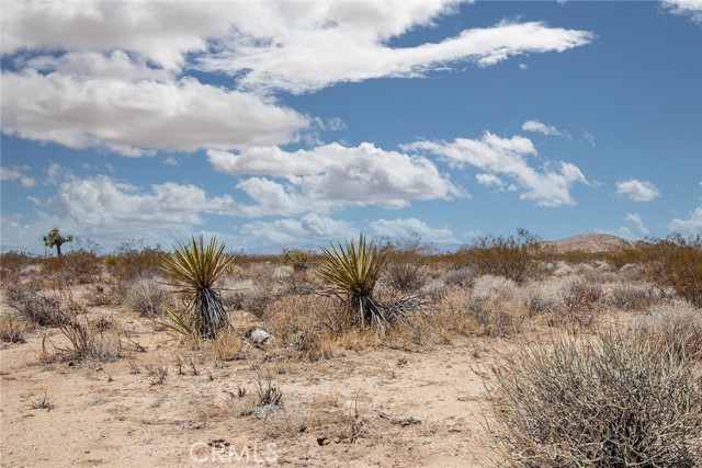 Detail Gallery Image 4 of 6 For 2000 Celeste Rd, Joshua Tree,  CA 92252 - – Beds | – Baths