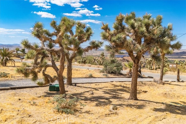 Detail Gallery Image 36 of 65 For 60427 Onaga Trl, Joshua Tree,  CA 92252 - 4 Beds | 2/1 Baths