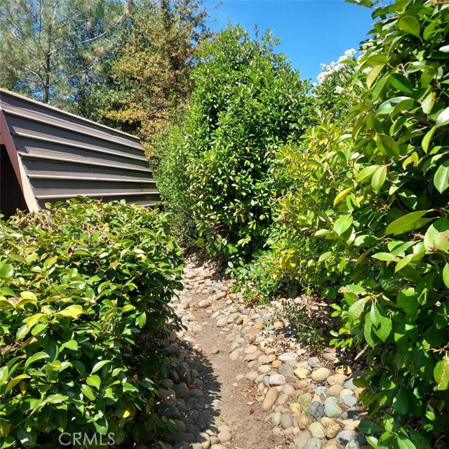 226 Rim Canyon Parkway, Oroville CA: https://media.crmls.org/medias/08e5ec0e-bac1-4ff5-ba51-7581e6b4afa8.jpg