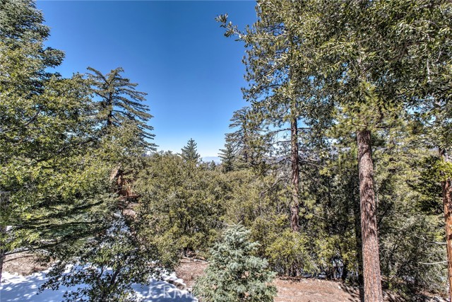 Detail Gallery Image 11 of 61 For 53050 Woodpecker Way, Idyllwild,  CA 92549 - 2 Beds | 1 Baths