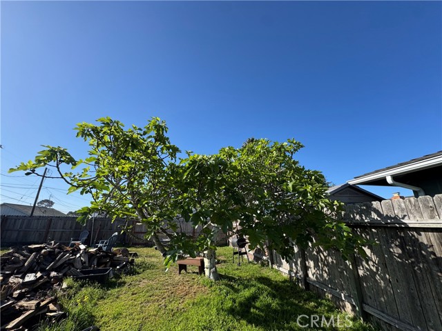 Detail Gallery Image 28 of 30 For 1078 Maple St, Arroyo Grande,  CA 93420 - – Beds | – Baths