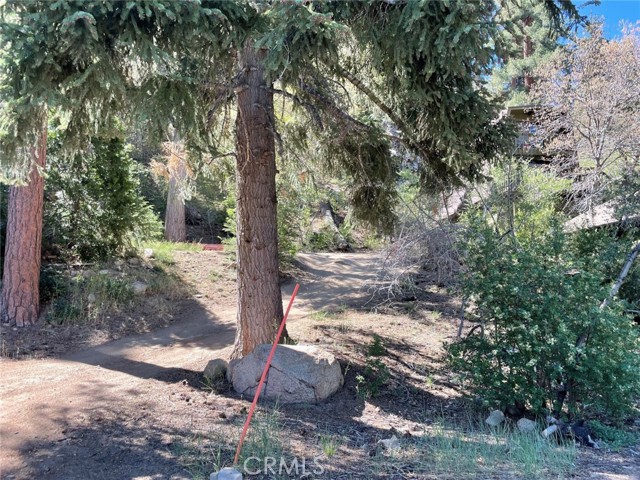 Detail Gallery Image 12 of 12 For 1013 Knickerbocker Rd, Big Bear Lake,  CA 92315 - – Beds | – Baths