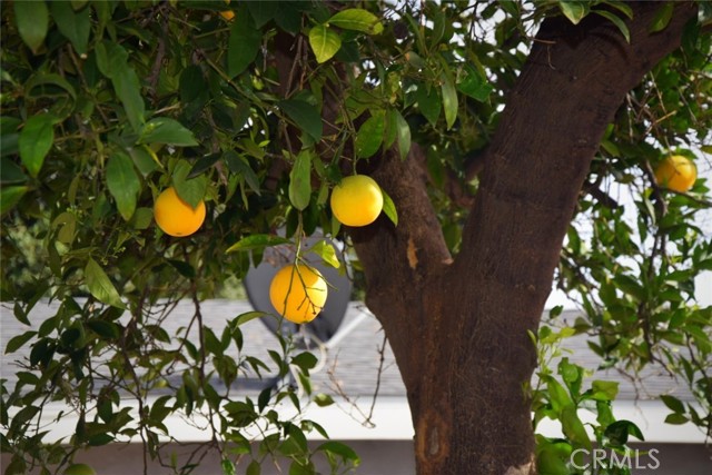 Detail Gallery Image 30 of 35 For 416 W Park, Ontario,  CA 91762 - 2 Beds | 1 Baths