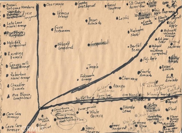 Detail Gallery Image 65 of 65 For 2821 Ilopango, Hacienda Heights,  CA 91745 - 4 Beds | 3 Baths