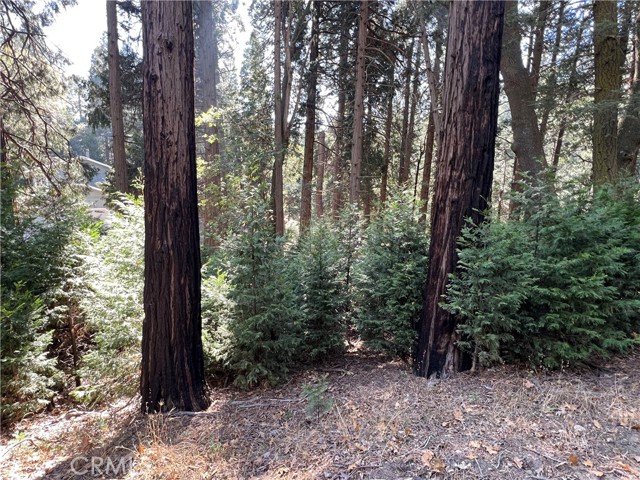 Detail Gallery Image 44 of 44 For 386 Garden Dr, Cedarpines Park,  CA 92322 - 5 Beds | 3 Baths