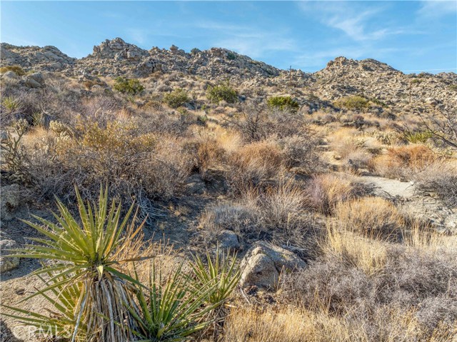 Detail Gallery Image 17 of 18 For 0 Avenida Los Feliz, Mountain Center,  CA 92561 - – Beds | – Baths