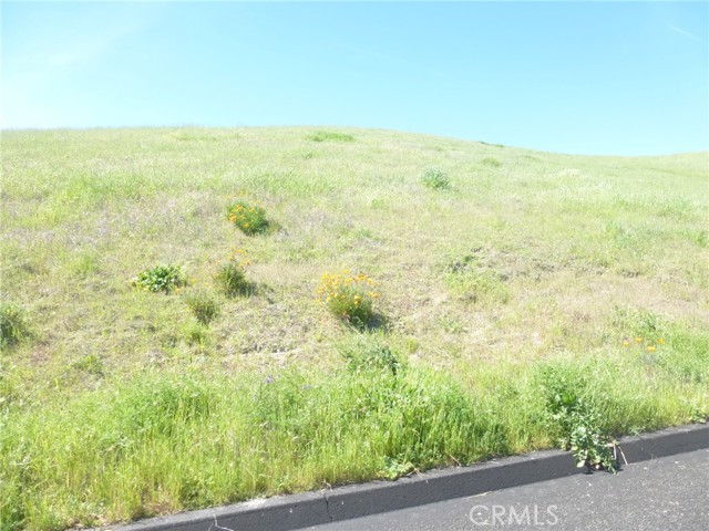 Detail Gallery Image 8 of 42 For 0 Douglas Rd. (Lot 28), San Miguel,  CA 93451 - – Beds | – Baths