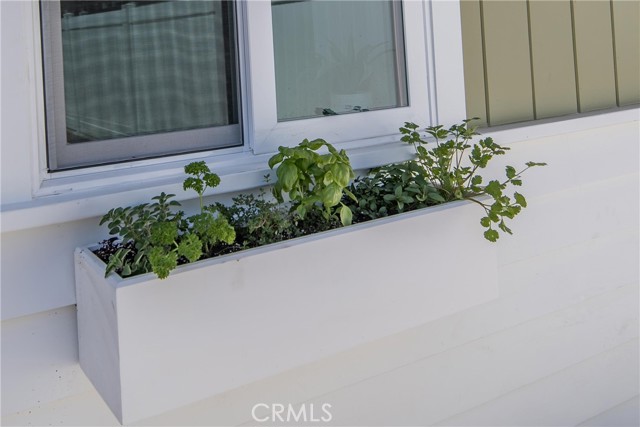 Detail Gallery Image 33 of 38 For 33751 Copper Lantern St, Dana Point,  CA 92629 - 1 Beds | 1 Baths