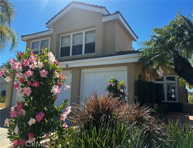 Front Image Thumbnail for CROC26059387