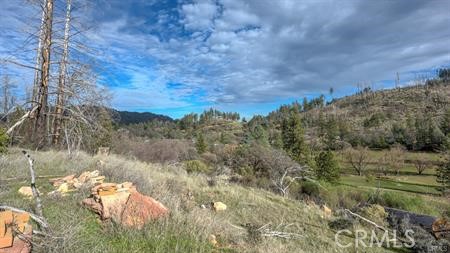 Front Image Thumbnail for CRLC26087406